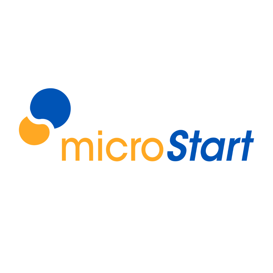 MICRO START